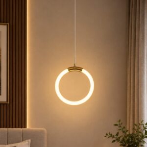 Modern Single Ring Hanging Light